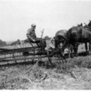 Farming scenes 1950
