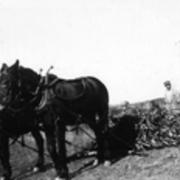 Farming scenes 1943
