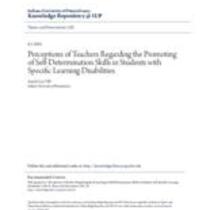 Perceptions of teachers regarding the promoting of self-determination skills in students with specific learning disabilities