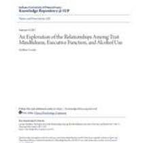 exploration of the relationships among trait mindfulness, executive function, and alcohol use