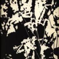 Reflector 1971 Spring
