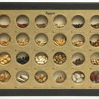 Nasco Seed Container