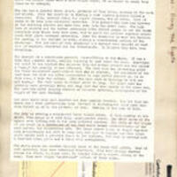 Henry VIII (verso)