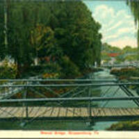 Branch Bridge