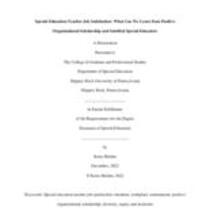 Special education teacher job satisfaction