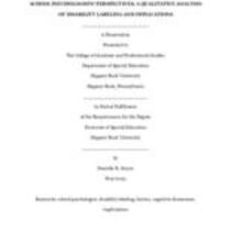 School psychologists' perspectives