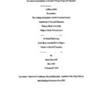 Transition Coordinators: