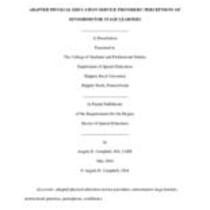 Adapted physical education service providers' perceptions of sensorimotor stage learners