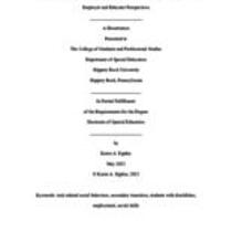 The importance of employability skills for students with disabilities